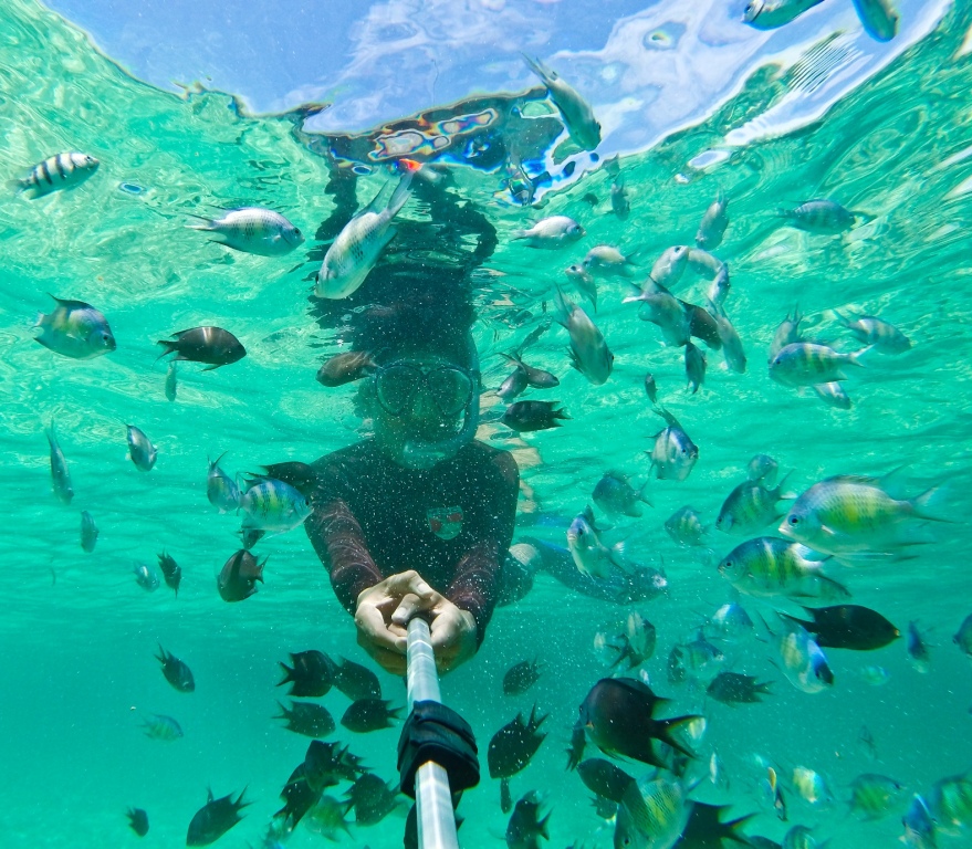 Hasil gambar untuk pulau karampuang snorkeling